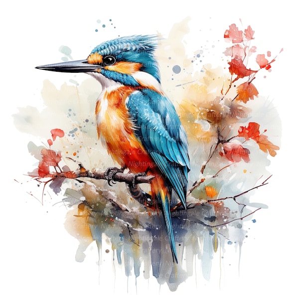 12 Kingfisher Bird Clipart, afdrukbare aquarel clipart, hoge kwaliteit JPG's, digitale download, hoge resolutie, papier ambachtelijke, ongewenste tijdschriften