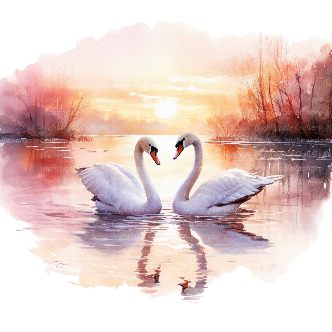 12 Swan Couple Clipart, Swans, Printable Watercolor Clipart, High Quality Jpgs, Digital Download ...