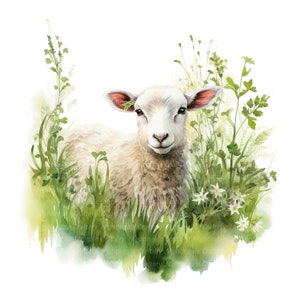 May include: A watercolor painting of a white lamb with pink ears standing in a field of green grass and white flowers.