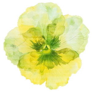 8 Lemon Pansy Clipart, Abstract Pansy Flowers, Printable Watercolor clipart, High Quality JPGs, Digital download, Paper craft, junk journal