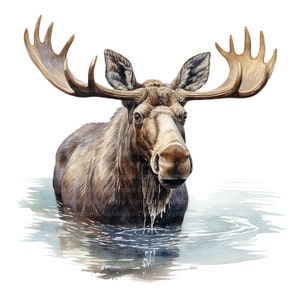 10 imágenes prediseñadas de alces en pantano, imágenes prediseñadas de acuarela imprimibles, JPG de alta calidad, descarga digital, alta resolución, artesanías en papel, diarios basura