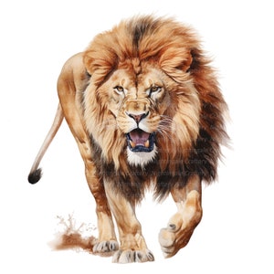Puede incluir: Una pintura de acuarela de un le&oacute;n con una melena de pelo marr&oacute;n y naranja. El le&oacute;n camina hacia el espectador con la boca abierta en un rugido. El le&oacute;n est&aacute; pintado en un estilo realista.