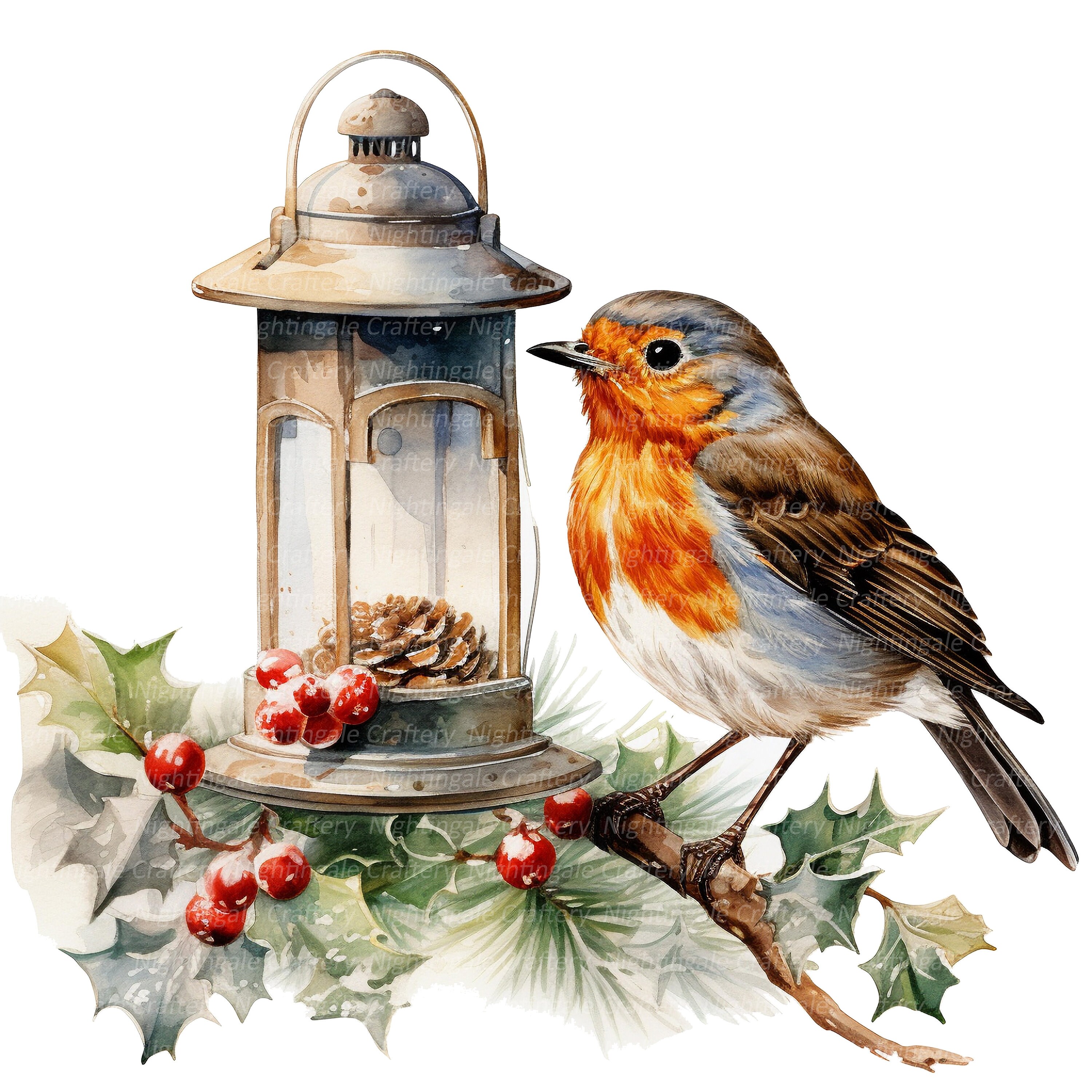 12 Christmas Robin Clipart Set 2, Printable Watercolor Clipart, High ...