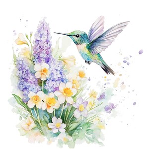 Puede incluir: Una pintura de acuarela de un colibr&iacute; flotando sobre un ramo de flores moradas y blancas. El colibr&iacute; es verde, azul y morado con un pico largo. Las flores est&aacute;n rodeadas de hojas verdes y un fondo de acuarela azul claro.