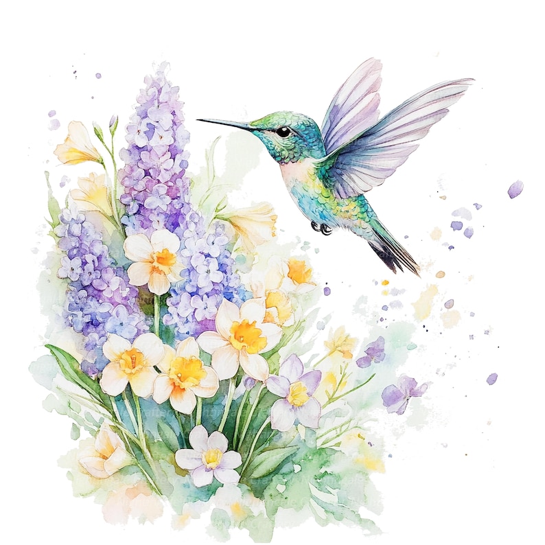 Puede incluir: Una pintura de acuarela de un colibr&iacute; flotando sobre un ramo de flores moradas y blancas. El colibr&iacute; es verde, azul y morado con un pico largo. Las flores est&aacute;n rodeadas de hojas verdes y un fondo de acuarela azul claro.