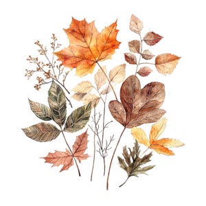 Conjunto de 2 imágenes prediseñadas de ramos de hojas de otoño, hojas de otoño, imágenes prediseñadas de acuarela imprimibles, PNG de alta calidad, descarga digital, manualidades de papel, diario