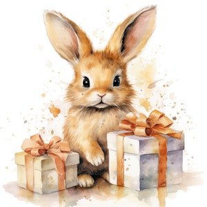 14 Clipart di conigli e regali, Clipart di conigli, Clipart di acquerelli stampabili, PNG/JPG di alta qualità, Download digitale, Carta artigianale, diari spazzatura