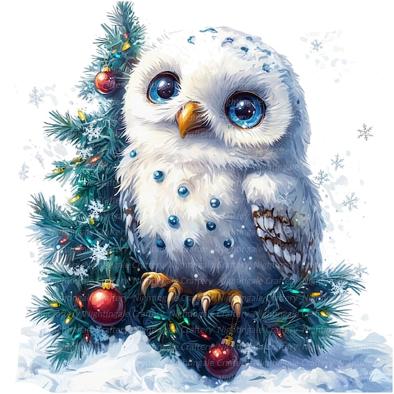 11 クリスマス フクロウ クリップアート、クリスマス カード、印刷可能