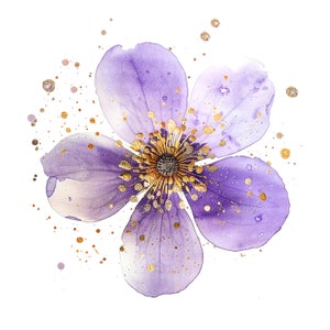 8 Leberblümchen Blume Clipart, lila Gold Blume, Blumen-Druck, druckbare Aquarell Clipart, hochwertige JPGs, digitaler Download, Papiermodell