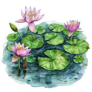 10 clipart de nenúfares, clipart de nenúfares, clipart de aquarela para impressão, JPGs de alta qualidade, download digital, artesanato em papel, diários indesejados