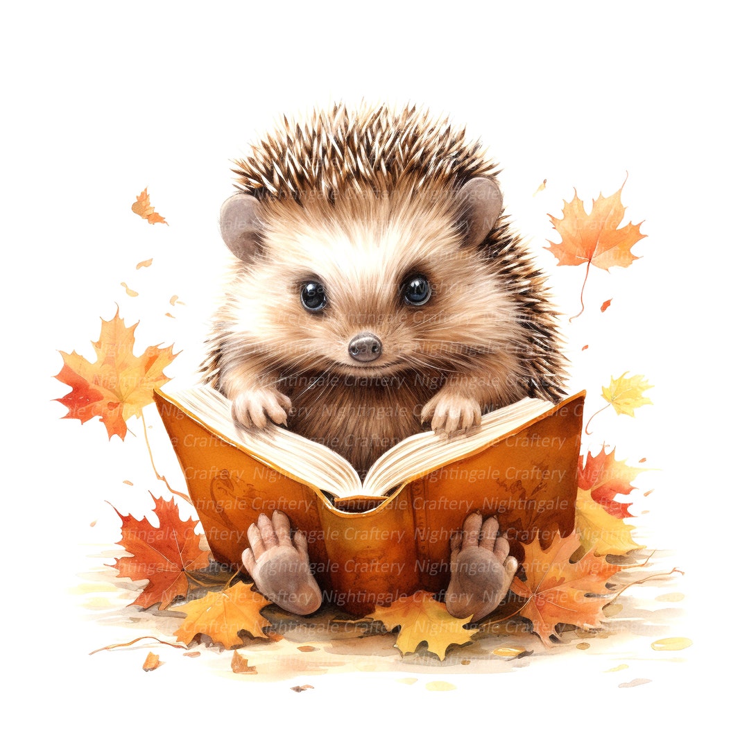 10 Hedgehog Reading Clipart, Hedgehog Autumn, Printable Watercolor ...