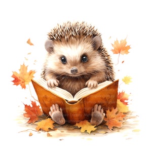 10 clipart de leitura de ouriço, outono de ouriço, clipart em aquarela para impressão, JPGs de alta qualidade, download digital, artesanato em papel, diário de lixo eletrônico