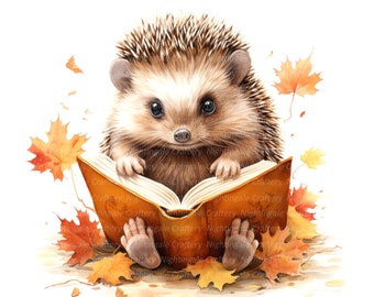 10 Hedgehog Reading Clipart, Hedgehog Autumn, Printable Watercolor clipart, High Quality JPGs, Digital download, Paper craft, junk journal