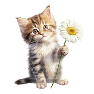 10 chaton avec des fleurs clipart, clipart chat, clipart aquarelle imprimable, PNG de haute qualité, téléchargement numérique, créations en papier, journaux indésirables