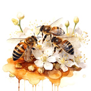 12 Bees Clipart, Honey Clipart, Beehive, Printable Watercolor clipart, High Quality JPGs, Digital download, Paper craft, junk journals