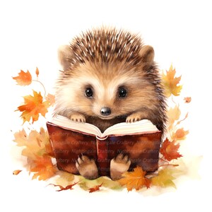 10 Hedgehog Reading Clipart, Hedgehog Autumn, Printable Watercolor ...