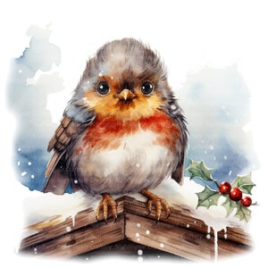12 Peeking Robin Clipart, Christmas Robin, clipart em aquarela para impressão, JPGs de alta qualidade, download digital, artesanato em papel, diário de lixo eletrônico