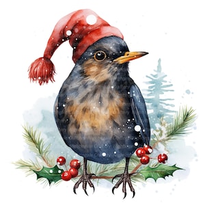 12 Imágenes Prediseñadas de mirlo de Navidad, pájaro negro, imágenes prediseñadas de acuarela imprimibles, JPG de alta calidad, descarga digital, artesanía de papel, diario basura