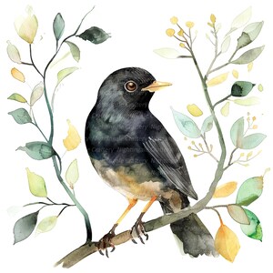 12 Blackbird clipart set 2, zwarte vogel print, afdrukbare aquarel clipart, hoge kwaliteit jpg's, digitale download, Paper Craft, ongewenste tijdschriften
