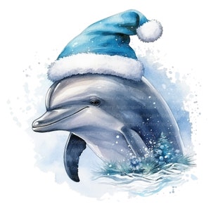 8 Dauphin dans les cliparts chapeau de Noël, Dauphin, clipart aquarelle imprimable, JPG de haute qualité, téléchargement numérique, créations en papier, journaux indésirables