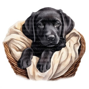 10 Cute Labrador Clipart, Labrador Puppy, Printable Watercolor clipart, High Quality JPGs, Digital download, Paper craft, junk journal