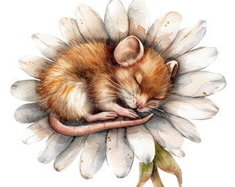 10 Sleeping Mouse Clipart, Mouse Nursery, Printable Watercolor clipart, High Quality PNGs, Digital download, Paper craft, junk journals