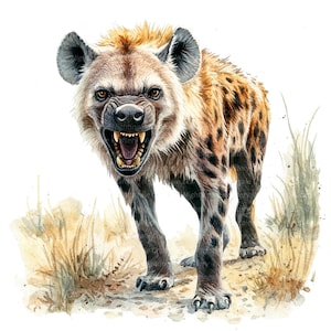 May include: A watercolor painting of a hyena with a fierce expression. The hyena is brown and tan with black spots. It is standing in a grassy field.
