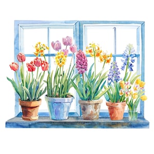May include: A watercolour painting depicts a blue window frame filled with potted flowers. Red tulips, yellow daffodils, purple hyacinths, and other colourful blooms sit on the windowsill. The image has a soft, artistic style.