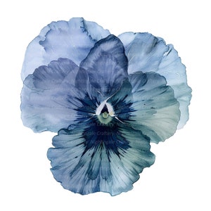 8 Indigo Pansy Clipart, Fiori astratti Pansy, Clipart acquerello stampabile, JPG di alta qualità, download digitale, Mestiere di carta, diario spazzatura