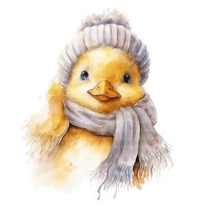 14 eendje met sjaal Clipart, winter eendje, afdrukbare aquarel clipart, hoge kwaliteit JPG, digitale download, Paper Craft, junk journal