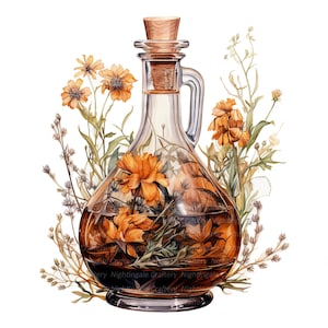 Könnte beinhalten: Eine klare Glasflasche mit einem Korkverschluss, gefüllt mit einer braunen Flüssigkeit und getrockneten orangefarbenen Blumen. Die Flasche ist von getrockneten Blumen und Grün umgeben.