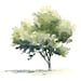 10 Minimalistic Tree Clipart, Simple Tree, Printable Watercolor Clipart ...