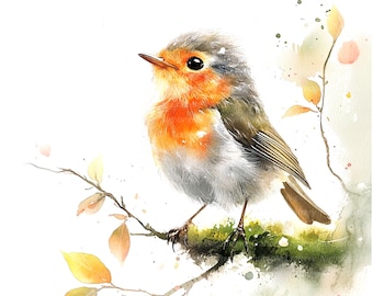 10 Christmas Robin Clipart, Bird Singing, Wall Art, Printable Watercolor clipart, High Quality JPGs, Digital download, Paper craft, journal