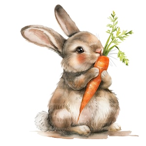 8 Bunny With Carrot Clipart, Cartoon Bunny, Printable Watercolor clipart, High Quality JPG/PNGs, Digital download, Paper craft, junk journal