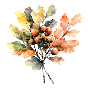 8 Clipart di bouquet di foglie di quercia, foglie autunnali, clipart di acquerelli stampabili, JPG di alta qualità, download digitale, artigianato di carta, diari spazzatura