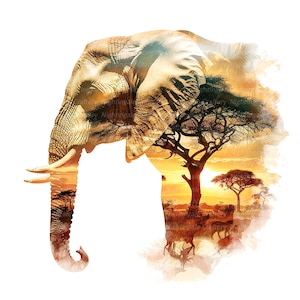 8 Elephant Wall Art, Foto di elefanti, Arte murale stampabile, PNG di alta qualità, Download digitale, Alta risoluzione, Design per magliette, Sublimazione