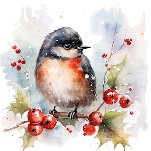 12 cliparts Noël spécial Robin, clipart aquarelle imprimable, fichiers JPG de haute qualité, téléchargement numérique, créations en papier, journaux indésirables