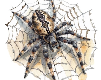 12 Spider Clipart, Spider Net, Printable Watercolor clipart, High Quality JPG, Digital download, High Resolution, Paper craft, junk journal