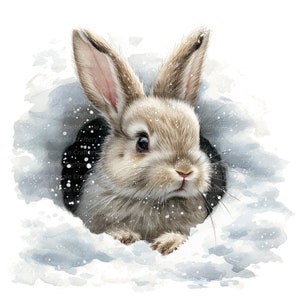 12 flauschiger Hase im Loch Clipart, Winter-Kaninchen, druckbare Aquarell Clipart, hochwertige PNGs, digitaler Download, Papiermodell, Junk Journal