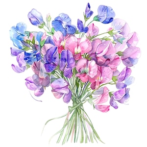 12 süße Erbse Clipart, süße Erbsen Blumenstrauß, druckbare Aquarell Clipart, hochwertige PNGs, digitaler Download, Papiermodell, Junk Journals