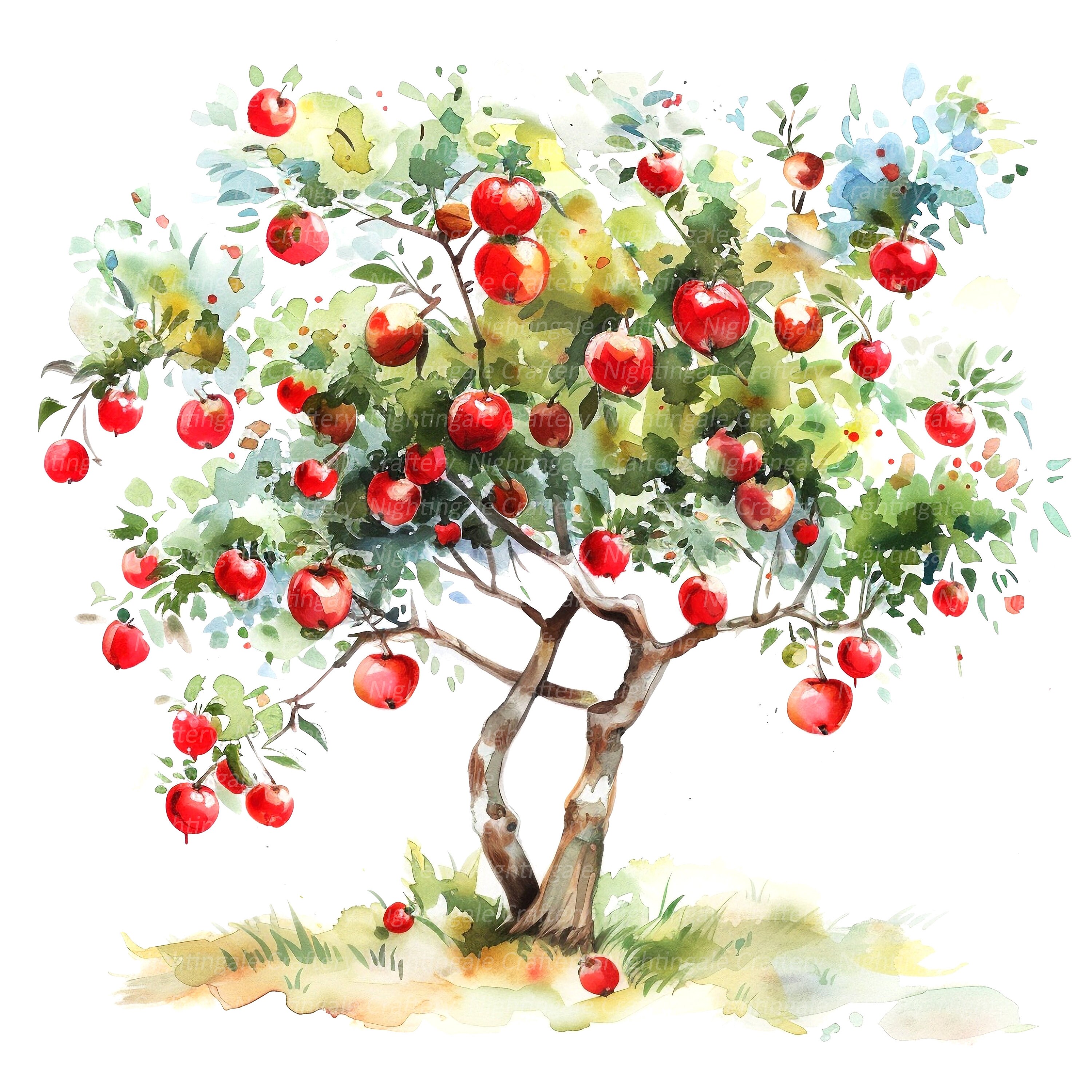 9 Apple Tree Clipart, Appletree Clipart, Apple, Printable Watercolor ...