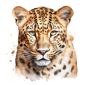 12 Leopard Clipart, Watercolor Leopard, Printable Watercolor clipart, 12 High Quality JPGs, Digital download, High resolution, Paper crafts