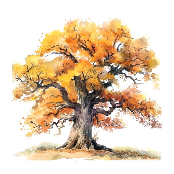 12 Oak Tree Clipart, Oak Clipart, Autumn Oak, Printable Watercolor clipart, High Quality JPGs, Digital download, Paper craft, junk journals