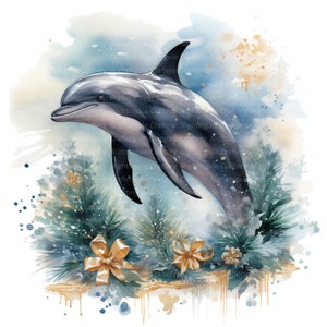 12 cliparts dauphins de Noël, carte de Noël, clipart aquarelle imprimable, JPG de haute qualité, téléchargement numérique, créations en papier, journal de bordel