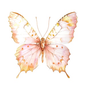 12 Pink Golden Butterfly Clipart, Wall Print, Printable Watercolor ...