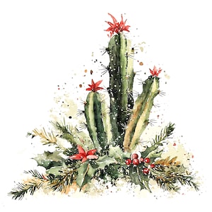 11 cliparts de cactus de Noël, cactus en fleurs, clipart aquarelle imprimable, fichiers JPG de haute qualité, téléchargement numérique, créations en papier, journaux indésirables