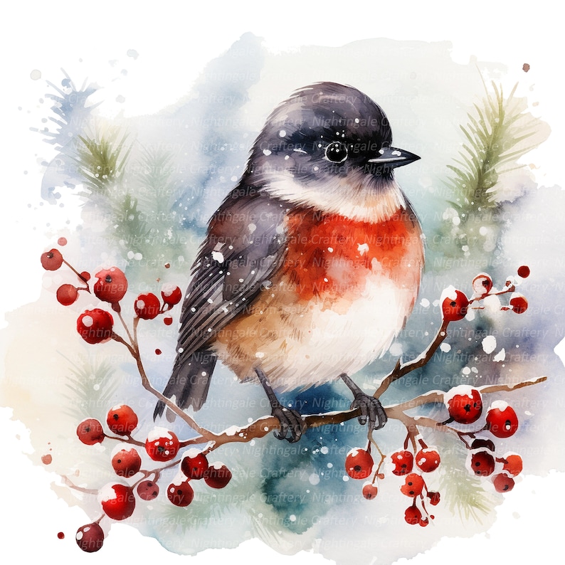 12 Special Christmas Robin Clipart, Printable Watercolor Clipart, High ...