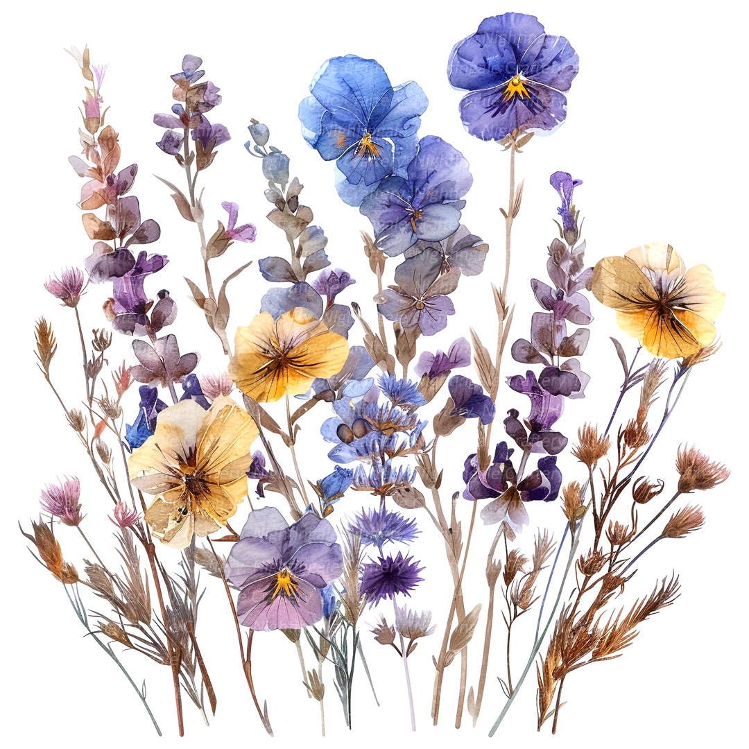 12 Pressed Lavender Clipart, Wildflowers Print, Printable Watercolor ...