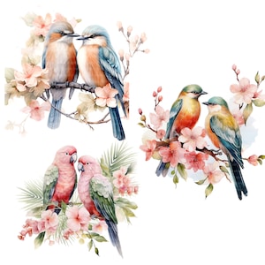 14 clipart romântico de pássaros vintage, casal de pássaros, clipart em aquarela para impressão, JPGs de alta qualidade, download digital, artesanato em papel, diário de lixo eletrônico