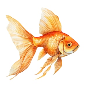 8 金魚のクリップアート、金魚のクリップアート、印刷可能な水彩画のクリップアート、高品質の JPG、デジタル ダウンロード、ペーパー クラフト、ジャンク ジャーナル